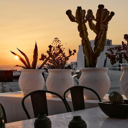 Elaia Luxury Suites Mykonos Mykonos Town Buitenkant foto